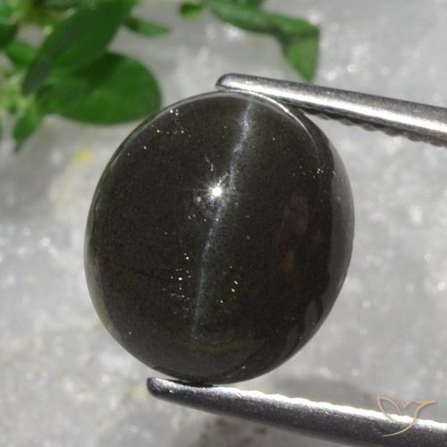 5.43ct Natural Marrón chocolate oscuro Escapolita Ojo de Gato, Ovalada, Translúcido