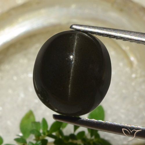 5.83ct Natural Negro Escapolita Ojo de Gato, Ovalada, Translúcido