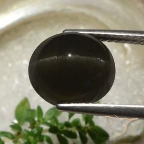 Escapolita Ojo de Gato Negro natural de 5.83 ct, Ovalada, Translúcido