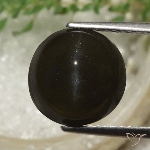 6.53ct Natural Marrón oscuro Escapolita Ojo de Gato, Redondo, Translúcido