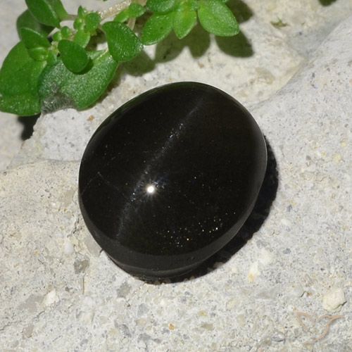 7.45ct Natural Negro Escapolita Ojo de Gato, Ovalada, Translúcido