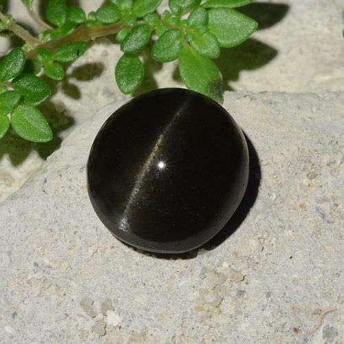 5.12ct Natural Negro Escapolita Ojo de Gato, Ovalada, Translúcido