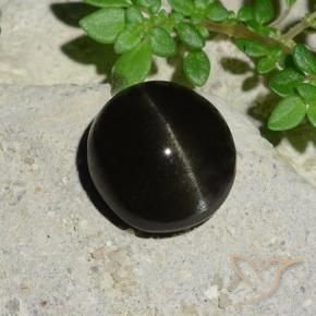 Escapolita Ojo de Gato Negro natural de 5.12 ct, Ovalada, Translúcido