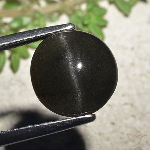 6.48ct Natural Negro Escapolita Ojo de Gato, Redondo, Translúcido