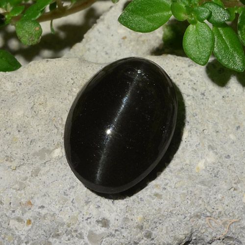5.12ct Natural Negro Escapolita Ojo de Gato, Ovalada, Translúcido