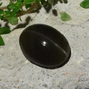 Cat's eye scapolite negro natural de 5,10 ct, corte óvalo, translúcido