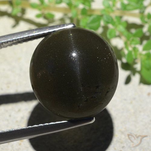 14.13ct Natural Negro Escapolita Ojo de Gato, Ovalada, Opaco