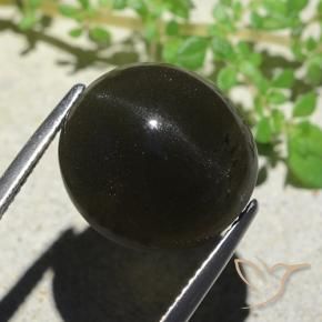 Escapolita Ojo de Gato Negro natural de 14.13 ct, Ovalada, Opaco