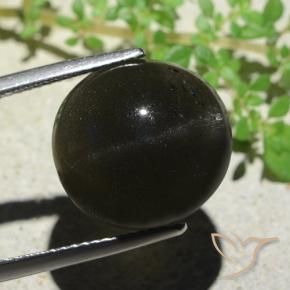 Escapolita Ojo de Gato Negro natural de 14.13 ct, Ovalada, Opaco