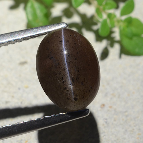 Escapolita Ojo de Gato Negro cálido natural de 4.04 ct, Corte Óvalo, Translúcido