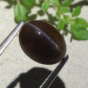 Escapolita Ojo de Gato Negro cálido natural de 4.04 ct, Corte Óvalo, Translúcido