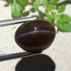 Escapolita Ojo de Gato Negro cálido natural de 4.04 ct, Corte Óvalo, Translúcido