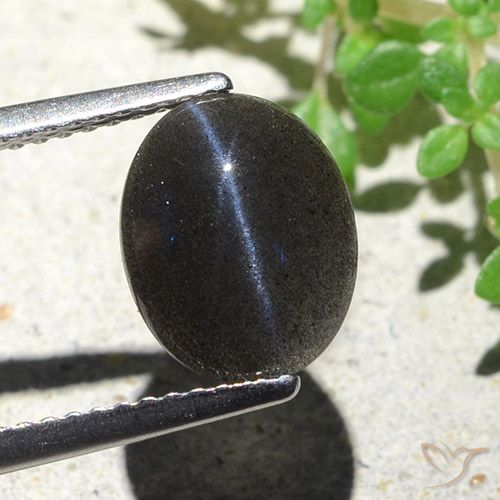 2.85ct Natural Negro Escapolita Ojo de Gato, Ovalada, Opaco
