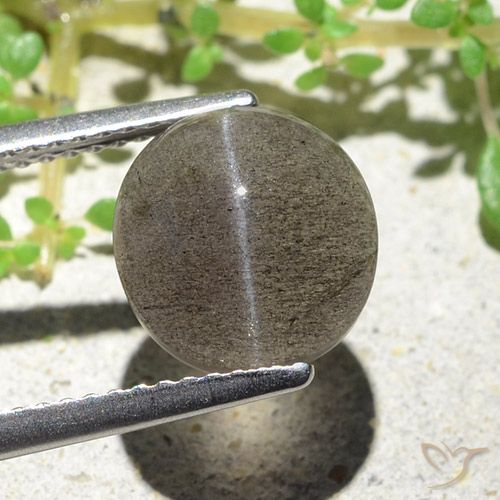 Cat's eye scapolite marrón natural de 3,94 ct, corte óvalo, translúcido