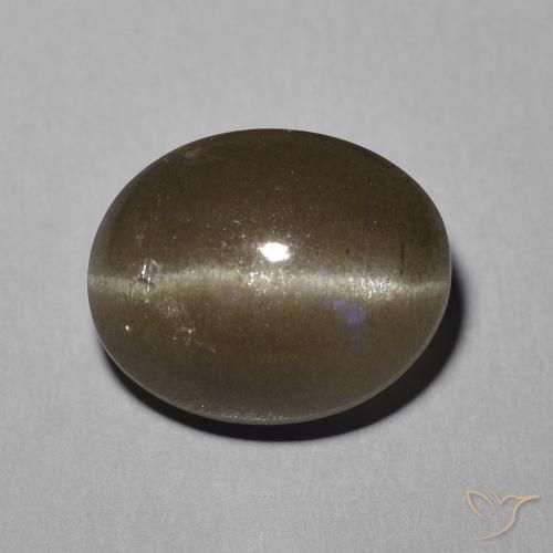 5.81ct Natural Marrón medio Escapolita Ojo de Gato, Ovalada, Translúcido