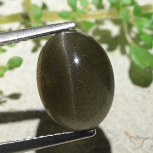 4.70ct Natural Marrón claro medio Escapolita Ojo de Gato, Ovalada, Translúcido