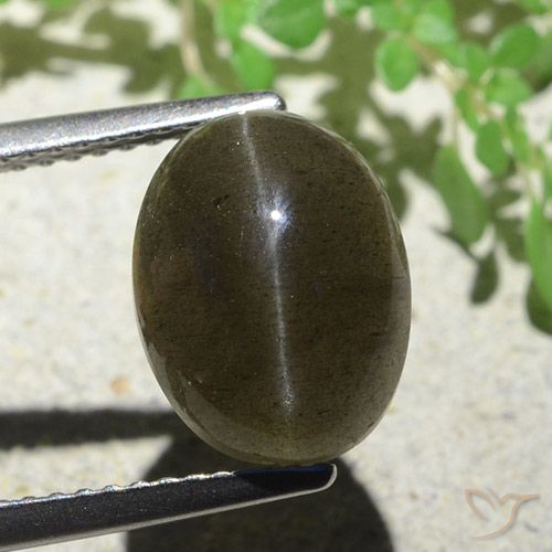 4.97ct Natural Marrón claro medio Escapolita Ojo de Gato, Ovalada, Translúcido