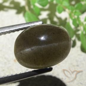 Escapolita Ojo de Gato Marrón claro medio natural de 4.97 ct, Ovalada, Translúcido