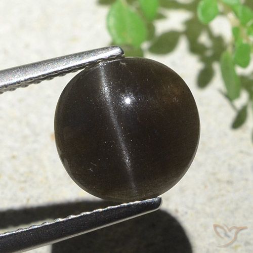 3.87ct Natural Marrón oscuro Escapolita Ojo de Gato, Redondo, Translúcido