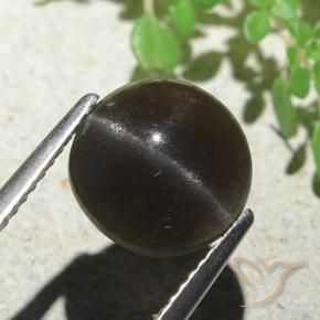 Escapolita Ojo de Gato Marrón oscuro natural de 3.87 ct, Redondo, Translúcido