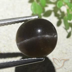 Escapolita Ojo de Gato Marrón oscuro natural de 3.87 ct, Redondo, Translúcido