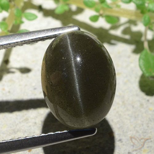 Cat's eye scapolite marrón natural de 4,66 ct, corte óvalo, translúcido