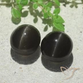 Gemas de Escapolita Ojo de Gato Negro natural de 8.87 ct, Ovalada, Translúcido