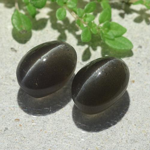 Gemas de cat's eye scapolite negro natural de 6,12 ct, corte óvalo, translúcido