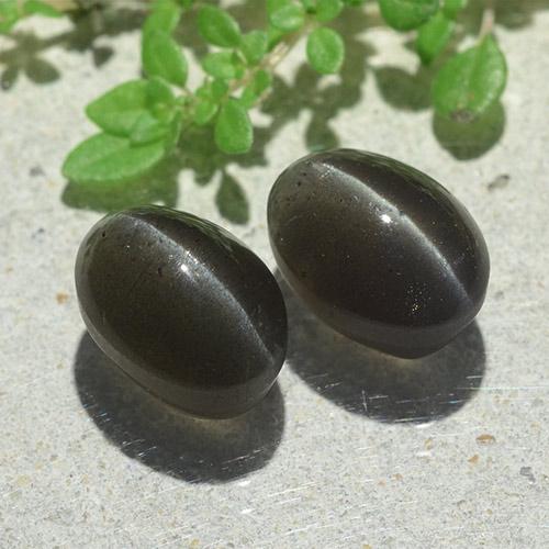 Gemas de cat's eye scapolite negro natural de 6,12 ct, corte óvalo, translúcido