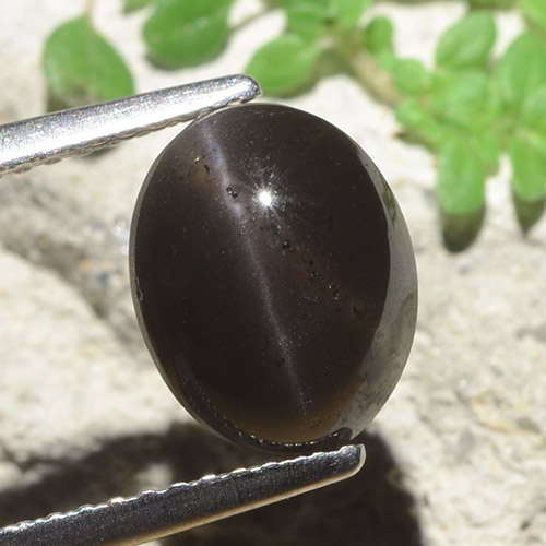 Escapolita Ojo de Gato Negro natural de 3.42 ct, Corte Óvalo, Translúcido