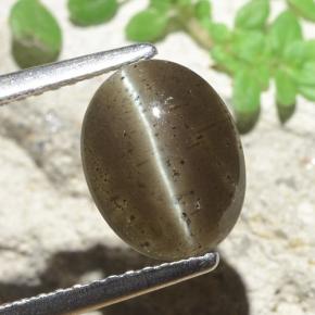 Escapolita Ojo de Gato Marrón medio natural de 2.60 ct, Corte Óvalo, Translúcido