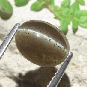 Escapolita Ojo de Gato Marrón medio natural de 2.60 ct, Corte Óvalo, Translúcido