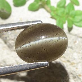 Escapolita Ojo de Gato Marrón medio natural de 2.60 ct, Corte Óvalo, Translúcido