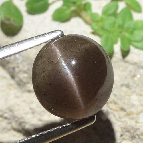 3.45ct Natural Marrón sombra Escapolita Ojo de Gato, Redondo, Translúcido