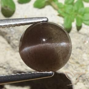 Escapolita Ojo de Gato Marrón sombra natural de 3.45 ct, Redondo, Translúcido