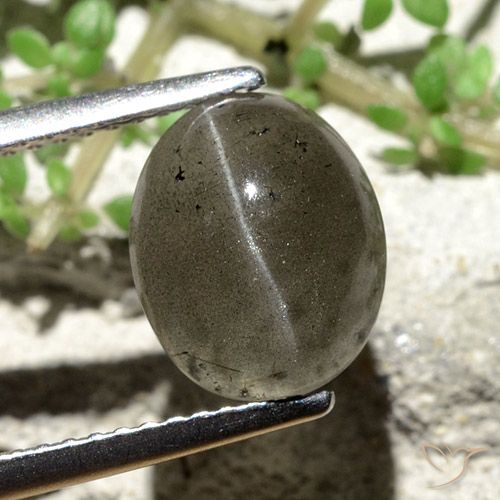 3.81ct Natural Gris oscuro Escapolita Ojo de Gato, Ovalada, Translúcido