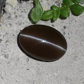 Escapolita Ojo de Gato Marrón natural de 2.03 ct, Corte Óvalo, Translúcido