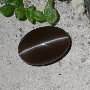Escapolita Ojo de Gato Marrón natural de 2.03 ct, Corte Óvalo, Translúcido