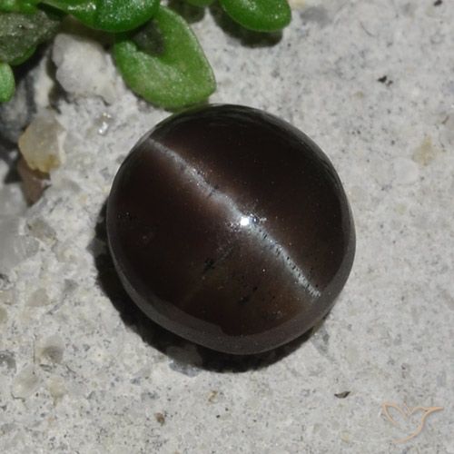 2.10ct Natural Marrón chocolate Escapolita Ojo de Gato, Redondo, Translúcido