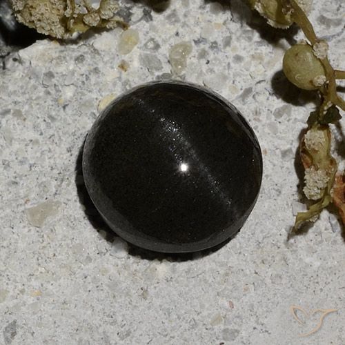 2.12ct Natural Negro Escapolita Ojo de Gato, Redondo, Translúcido