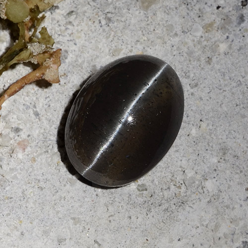 Escapolita Ojo de Gato Negro natural de 2.30 ct, Corte Óvalo, Translúcido