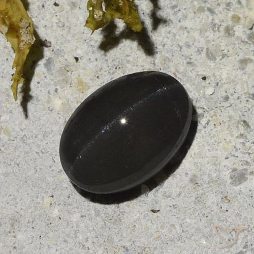 1.48ct Natural Negro Escapolita Ojo de Gato, Ovalada, Translúcido
