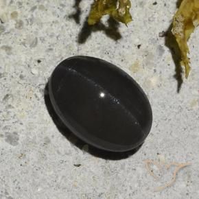 Escapolita Ojo de Gato Negro natural de 1.48 ct, Ovalada, Translúcido