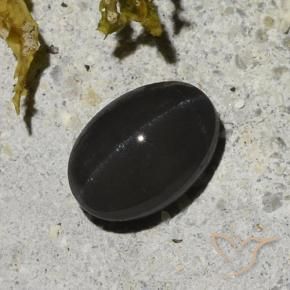 Escapolita Ojo de Gato Negro natural de 1.48 ct, Ovalada, Translúcido