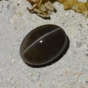 Escapolita Ojo de Gato Negro cálido natural de 1.35 ct, Corte Óvalo, Translúcido