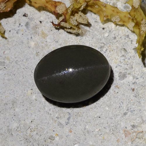 2.09ct Natural Negro grisáceo oscuro Escapolita Ojo de Gato, Ovalada, Translúcido