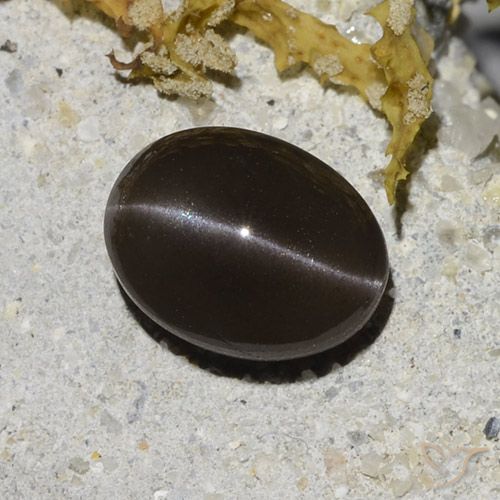 2.96ct Natural Marrón Escapolita Ojo de Gato, Ovalada, Translúcido