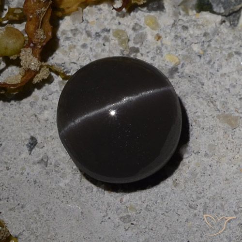 3.08ct Natural Negro Escapolita Ojo de Gato, Redondo, Translúcido