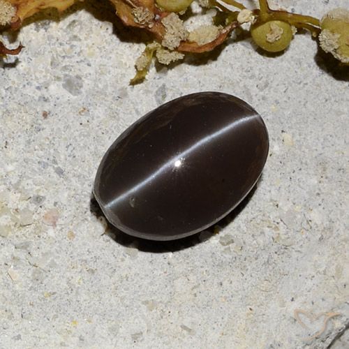 1.81ct Natural Marrón oscuro Escapolita Ojo de Gato, Ovalada, Translúcido