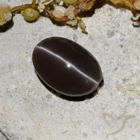 Escapolita Ojo de Gato Marrón oscuro natural de 1.81 ct, Ovalada, Translúcido